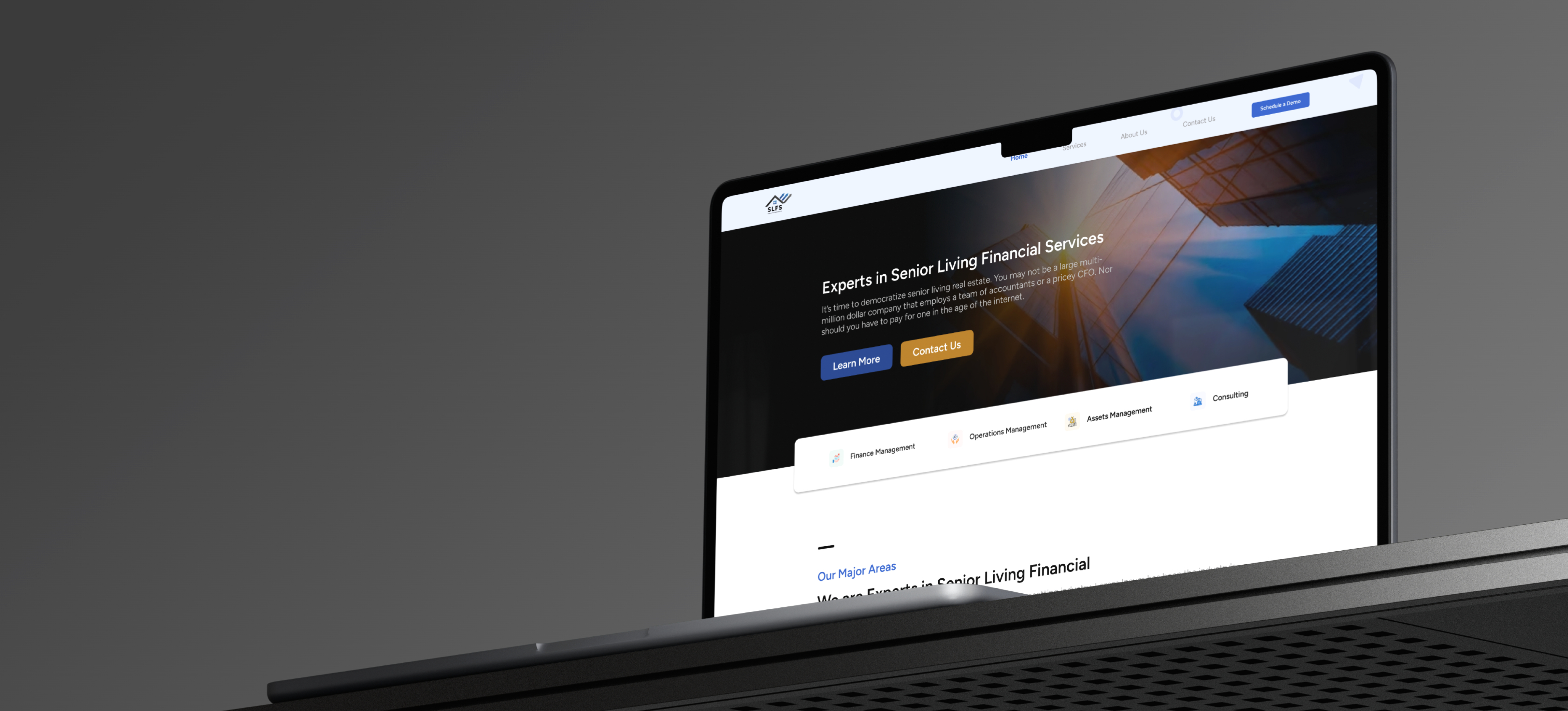 Senior Living Financial Services website preview
